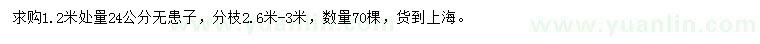 求購(gòu)1.2米處量24公分無患子