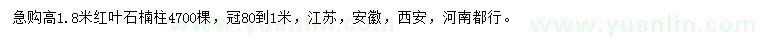 求購高1.8米紅葉石楠柱
