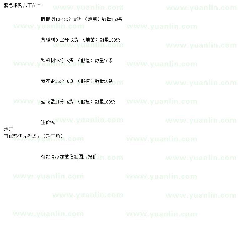 求購(gòu)臘腸樹、黃槿、秋楓等