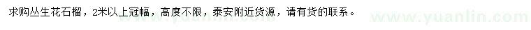 求購冠幅2米以上叢生花石榴