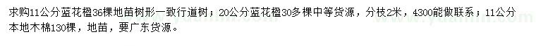 求購11、20公分藍花楹、11公分本地木棉