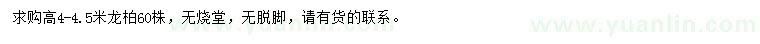 求購高4-4.5米龍柏
