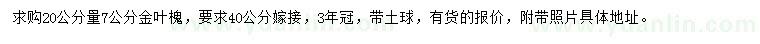 求購20公分量7公分金葉槐