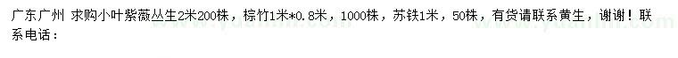 求購叢生小葉紫薇、棕竹、蘇鐵