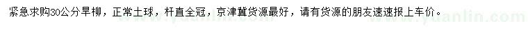 求購30公分旱柳