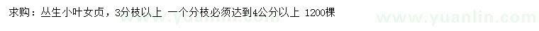求購3分枝以上叢生小葉女貞