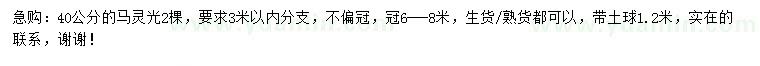 求購40公分馬靈光