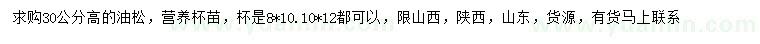 求購(gòu)高30公分油松