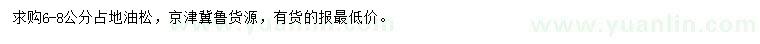 求購6-8公分占地油松