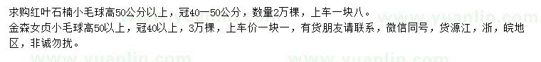 求購(gòu)高50公分以上紅葉石楠小毛球、金森女貞小毛球