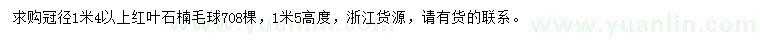 求購(gòu)冠徑1.4米以上紅葉石楠球