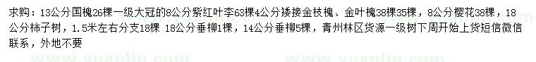 求購國槐、紫紅葉李、矮接金枝槐等
