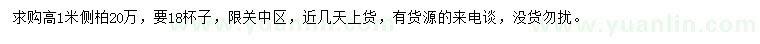 求購(gòu)高1米側(cè)柏