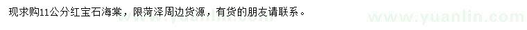 求購11公分紅寶石海棠