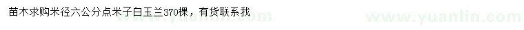 求購米徑6公分白玉蘭