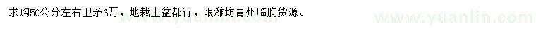 求購50公分左右衛(wèi)矛