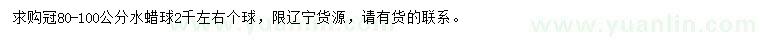 求購冠80-100公分水蠟球
