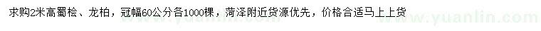 求購(gòu)高2米蜀檜、龍柏