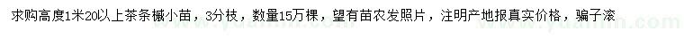 求購(gòu)高度1.2米以上茶條槭小苗