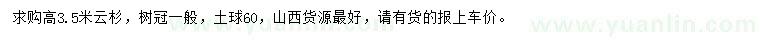 求購高3.5米云杉