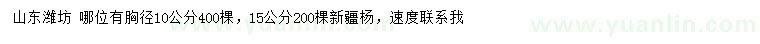 求購胸徑10、15公分新疆楊