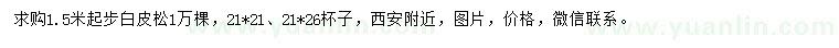 求購1.5米起步白皮松