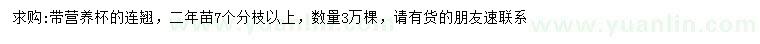 求購兩年苗連翹