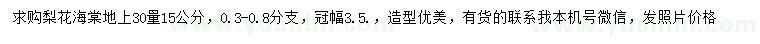 求購地上30量15公分梨花海棠