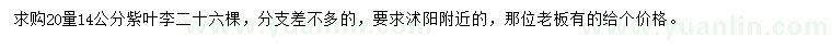 求購20量14公分紫葉李