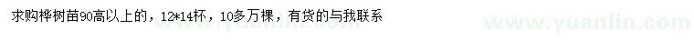 求購(gòu)高90公分以上樺樹苗