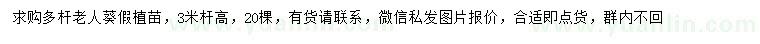 求購桿高3米多桿老人葵假植苗