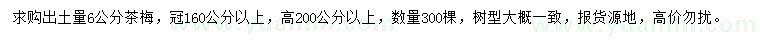 求購出土量6公分茶梅