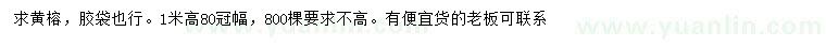 求購高1米黃榕