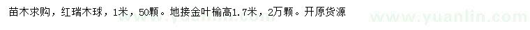 求購1米紅瑞木球