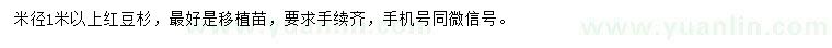 求購米徑1米以上紅豆杉