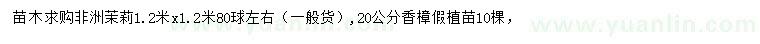 求購1.2*1.2非洲茉莉、20公分香樟