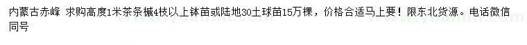 求購高度1米茶條槭