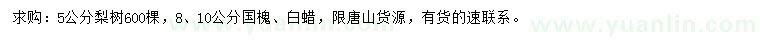 求購梨樹、國槐、白蠟