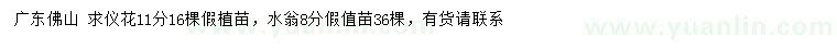 求購11公分儀花、8公分水翁假植苗