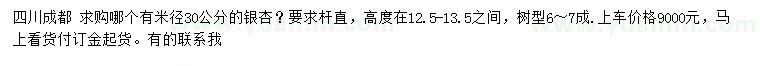 求購米徑30公分銀杏