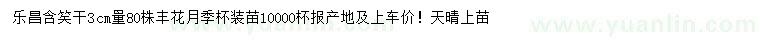 求購3公分樂昌含笑、豐花月季袋苗