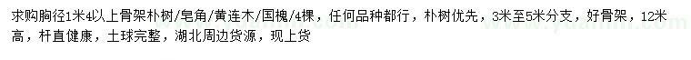 求購(gòu)胸徑1.4米以上骨架樸樹