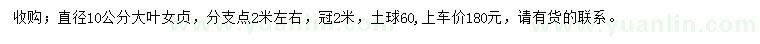 求購(gòu)直徑10公分大葉女貞