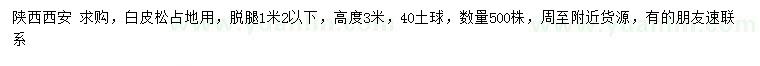 求購高度3米白皮松