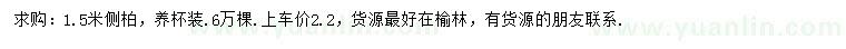 求購1.5米側(cè)柏