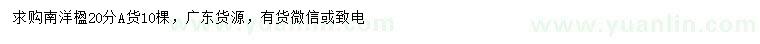 求購20公分南洋楹