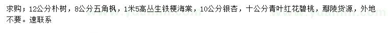 求購樸樹、五角楓、叢生貼梗海棠等
