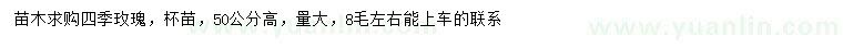 求購高50公分四季玫瑰