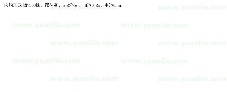 求購高0.8米以上珍珠梅