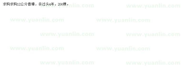 求購(gòu)12公分香樟